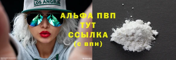 ECSTASY Пересвет