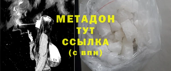 мдпв Ельня