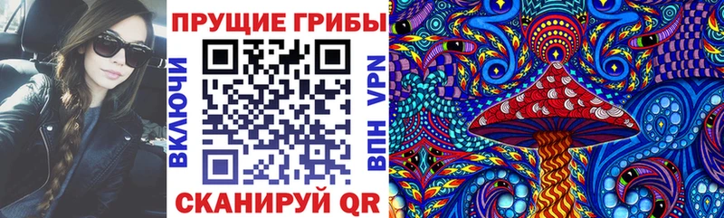 Галлюциногенные грибы мицелий  дарнет шоп  Нурлат 