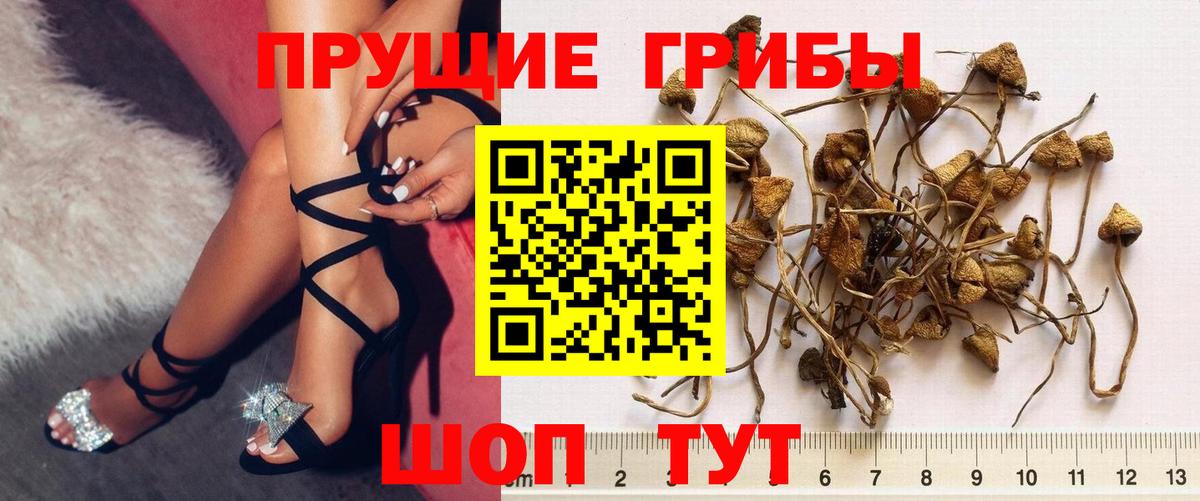 Псилоцибиновые грибы MAGIC MUSHROOMS  Вход с VPN  Нурлат 